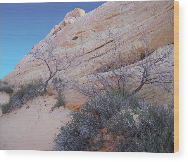 Desert Wood Print featuring the photograph Whale Rock by Steve Ellis