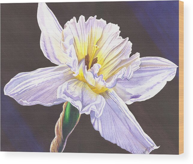 Daffodil Wood Print featuring the painting White Jonquil by Catherine G McElroy