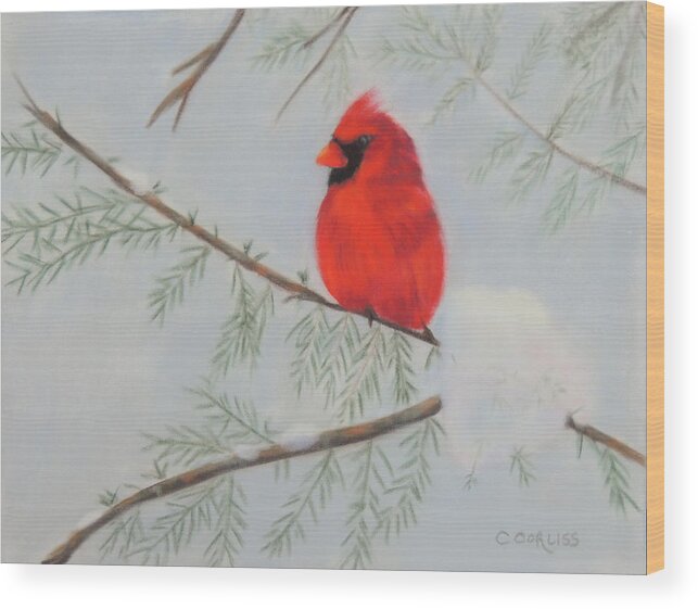 Bird Wood Print featuring the pastel Winter Cardinal by Carol Corliss