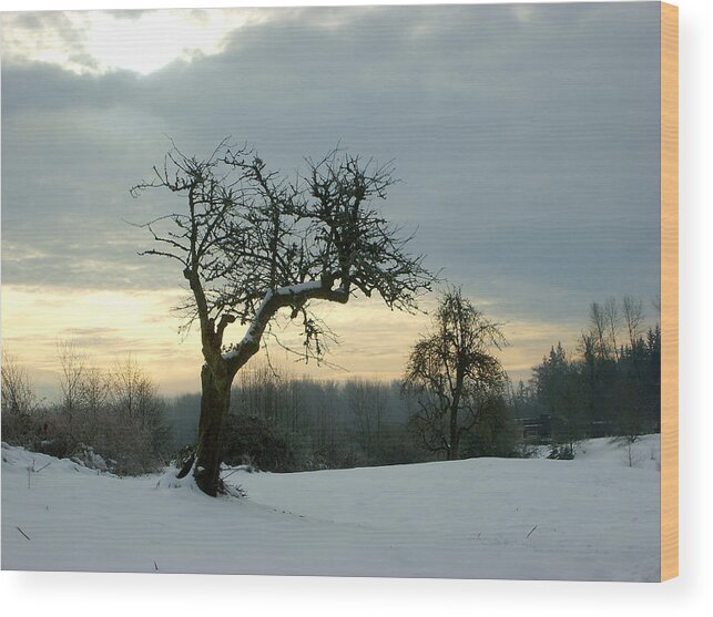 Winter Wood Print featuring the photograph Wintergloom by Barbara White