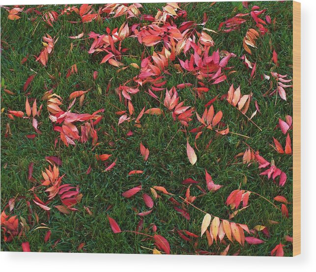 Leaves Wood Print featuring the photograph Signs of Autumn #5 by Richard Thomas