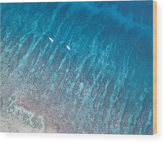 Landscapeaerial Wood Print featuring the photograph An Aerial View Of A Beautiful Coral by Ethan Daniels