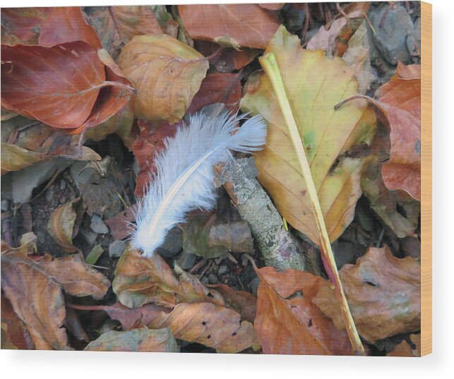 White Feather Wood Print featuring the photograph Angels Among Us by Vicky Edgerly