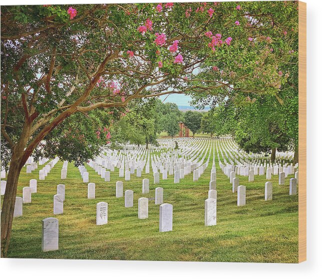Arlington National Cemetery Wood Print featuring the photograph Arlington Cemetery 1 by Jill Love