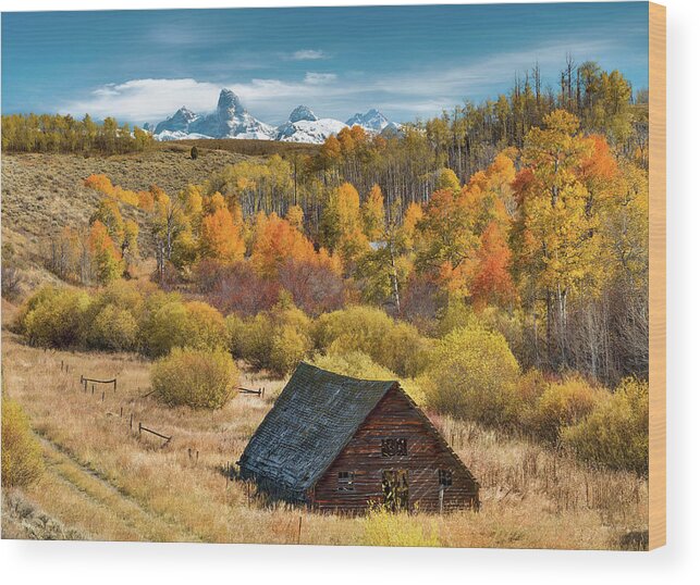 Idaho Scenics Wood Print featuring the photograph Autumn Day by Leland D Howard