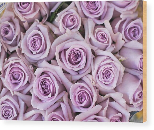 Purple Wood Print featuring the photograph Bouquet Of Lilac Colored Roses by Bruceblock