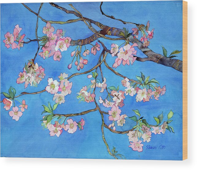 Cherry Blossoms Wood Print featuring the painting Cherry Blossoms by Sharon Pitts