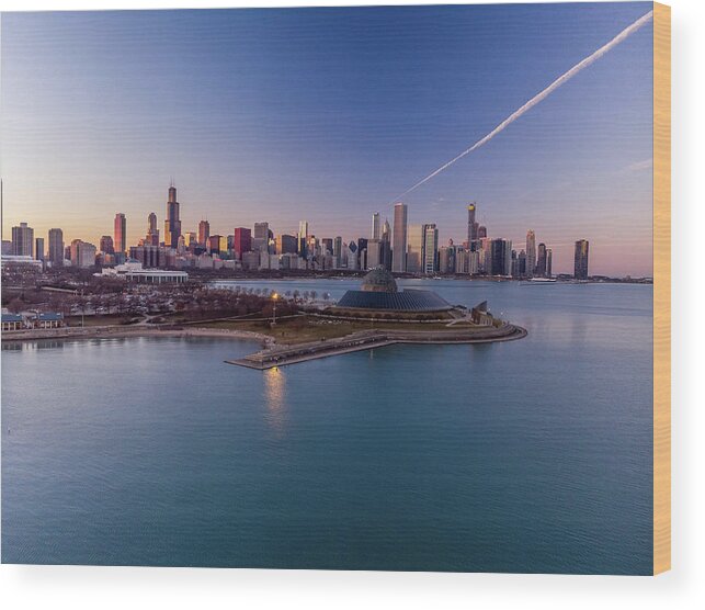 Chicago Wood Print featuring the photograph Chicago Skyline over Planetarium by Bobby K