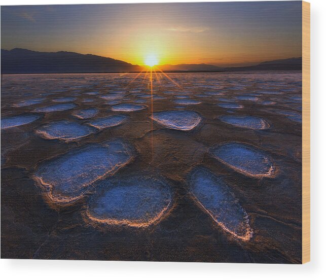 Sunset Wood Print featuring the photograph Crystal Flower In Death Valley by Dianne Mao