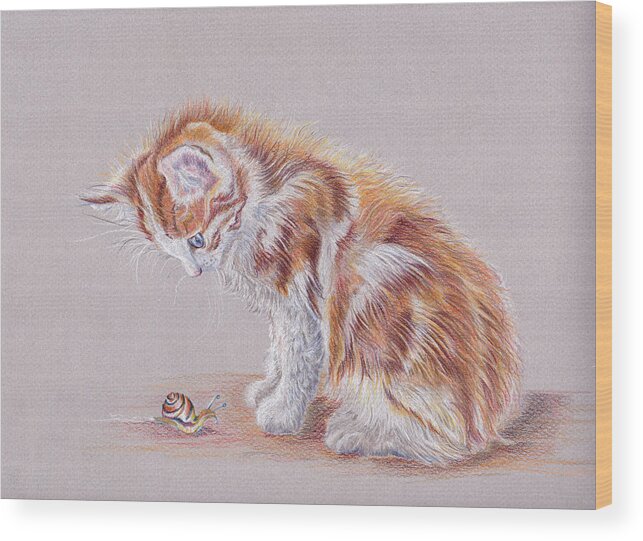 Cat Wood Print featuring the painting Curiosity and the fluffy kitten by Debra Hall