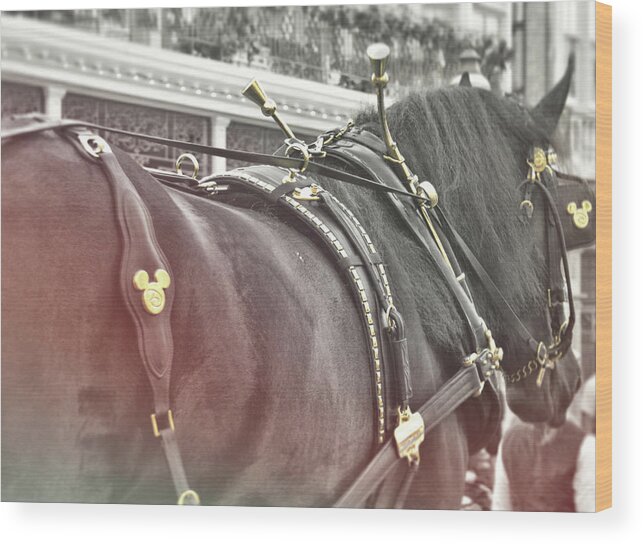Beautiful Wood Print featuring the photograph Disney Steed by Jamart Photography