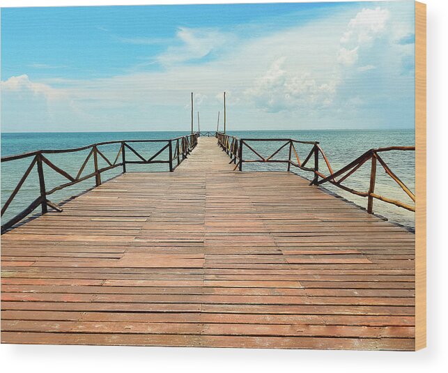 Skyline Wood Print featuring the photograph Dock to infinity by Silvia Marcoschamer