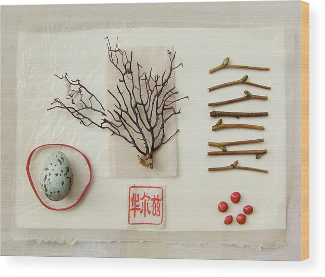 Gorgonian Coral Wood Print featuring the photograph Egg, Sea Fan, Twigs And Red Seeds On by Fiona Crawford Watson