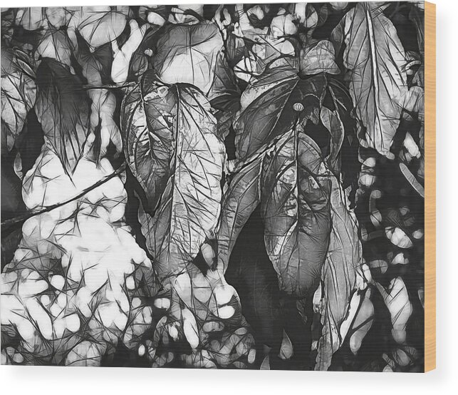Autumn Wood Print featuring the photograph Fall Color In Bw by John Straton