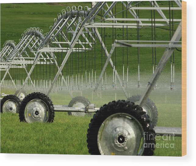 Montana Wood Print featuring the photograph Farm Irrigation by Terri Brewster