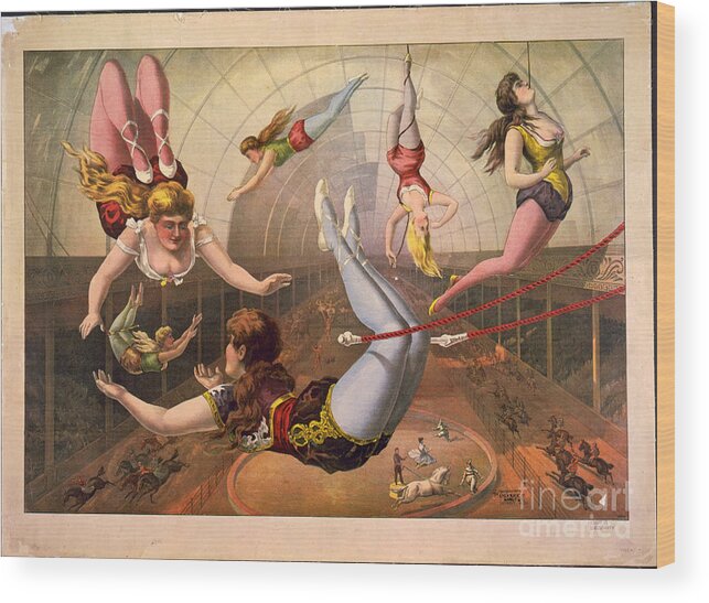 Marketing Wood Print featuring the drawing Female Acrobats On Trapezes At Circus by Heritage Images