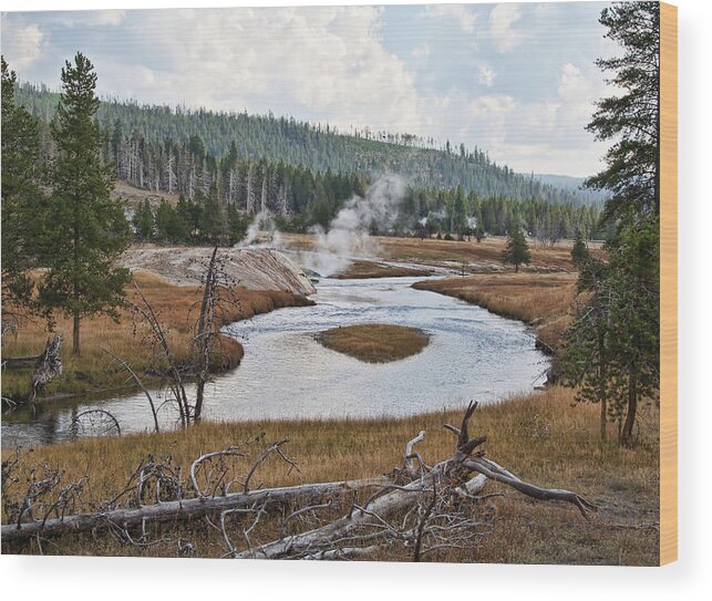 Grass Wood Print featuring the photograph Firehole River, Yellowstone, Np by © Richard Taylor