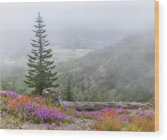 Fog And Wildflowers At Mount St. Helens Wood Print featuring the photograph Fog and Wildflowers at Mount St Helens by Carolyn Derstine