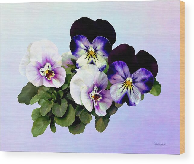 Pansy Wood Print featuring the photograph Four Pansies by Susan Savad