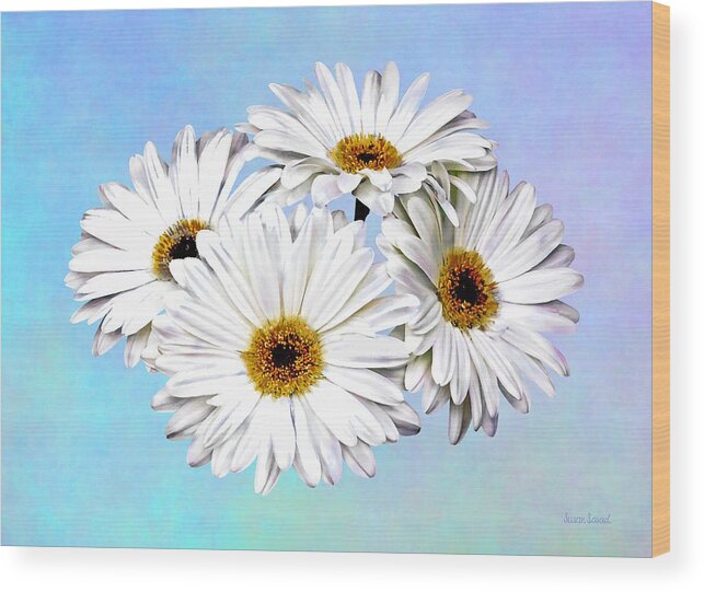 Daisy Wood Print featuring the photograph Four White Daisies by Susan Savad