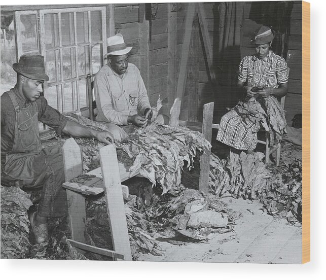 African Wood Print featuring the painting Grading tobacco in a strip house. by Unknown