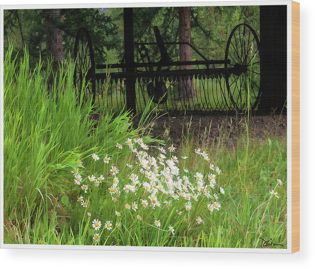 Farm Equipment Wood Print featuring the photograph Grand Lake Peace by Peggy Dietz