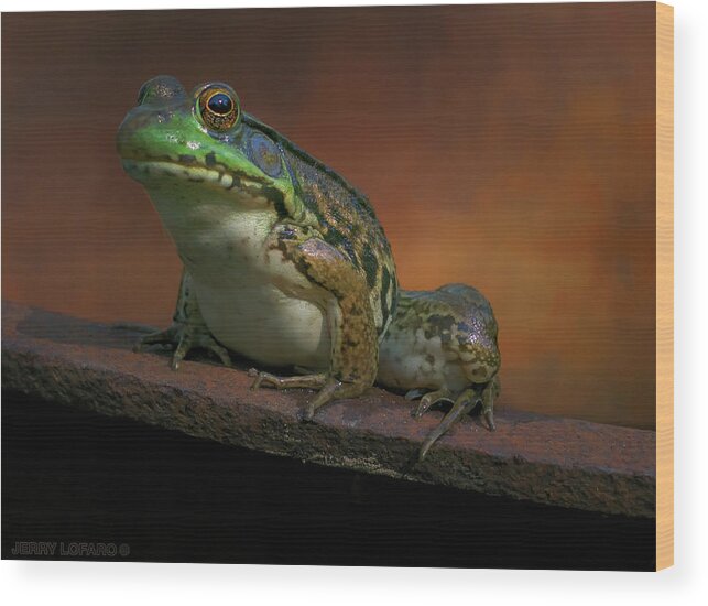 Frog Wood Print featuring the photograph Green by Jerry LoFaro