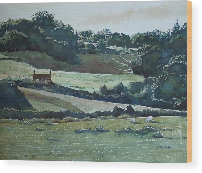  Afternoon Wood Print featuring the painting Late Afternoon Denbighshire by Jenny Armitage