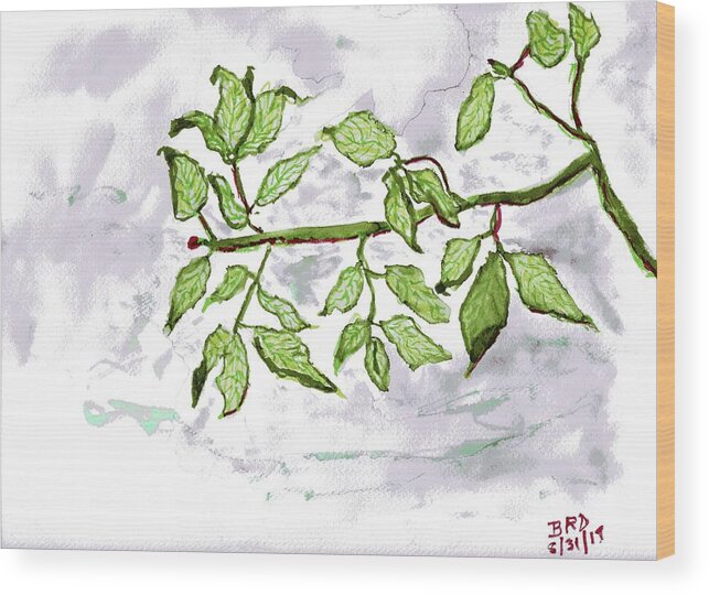 Leaves Wood Print featuring the painting Leaves by Branwen Drew
