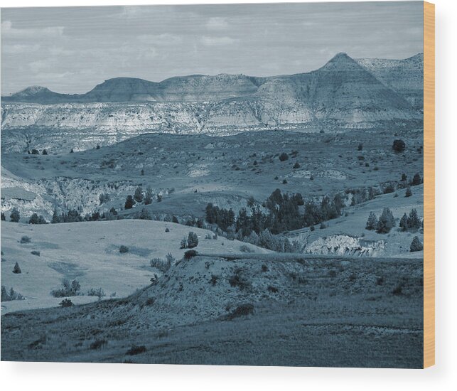 North Dakota Wood Print featuring the photograph Light and Shadow in West Dakota by Cris Fulton