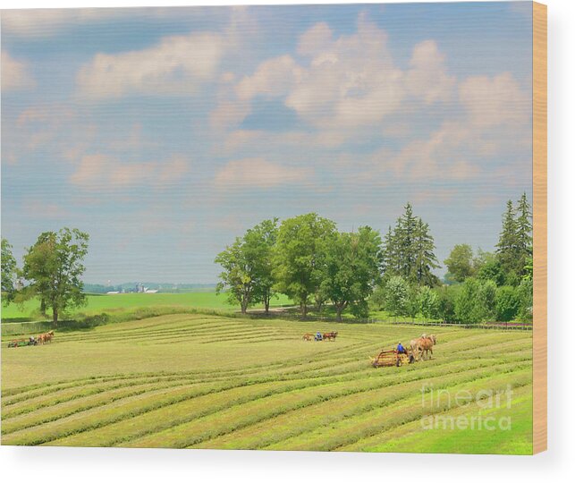 Canada Wood Print featuring the photograph Mennonite Farmers by Lenore Locken