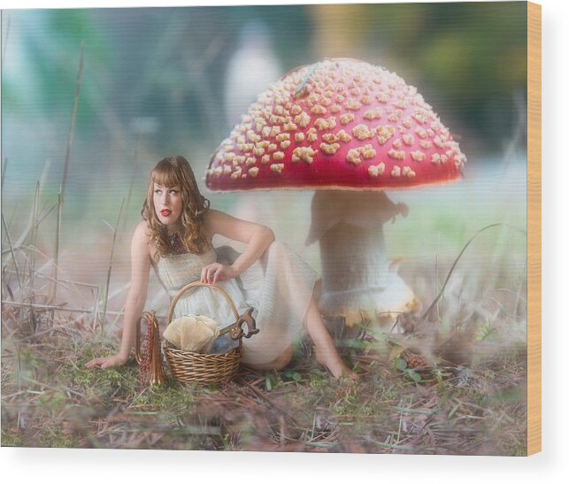 Mushroom Wood Print featuring the photograph Mushroom Picker by Derek Galon