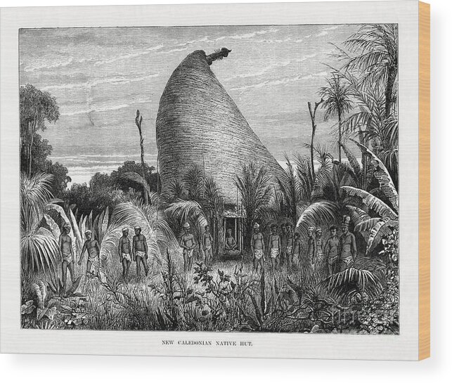 Engraving Wood Print featuring the drawing New Caledonian Native Hut, Southwest by Print Collector
