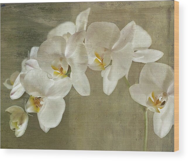 Flowers Wood Print featuring the mixed media Painted Orchid by Symposium Design