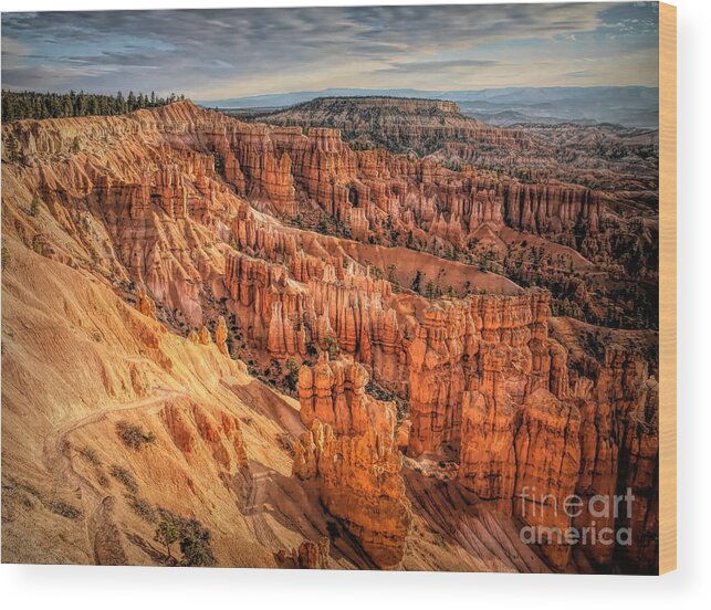 Bryce Canyon Wood Print featuring the photograph Panorama Bryce Canyon Utah by Chuck Kuhn