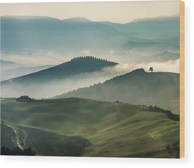 Toscany Wood Print featuring the photograph Pretty Morning in Toscany by Jaroslaw Blaminsky