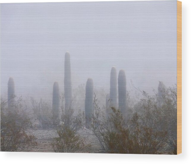 Affordable Wood Print featuring the photograph Rare Desert Fog by Judy Kennedy