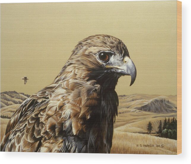 A Close-up Of A Red Tailed Hawk Wood Print featuring the painting Red Tailed Hawk 2 by Ron Parker