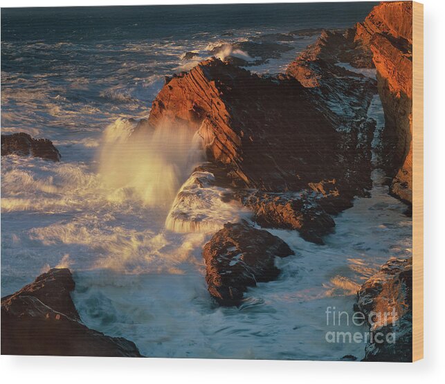 North America Landscape Wood Print featuring the photograph Sea Mount at Sunset Oregon Coast by Dave Welling