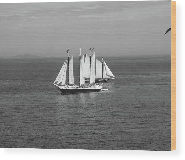 Sloop Wood Print featuring the photograph Ships passing by Jean Evans
