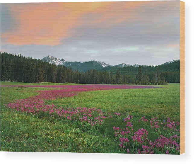 Idaho Scenics Wood Print featuring the photograph Shooting Stars by Leland D Howard