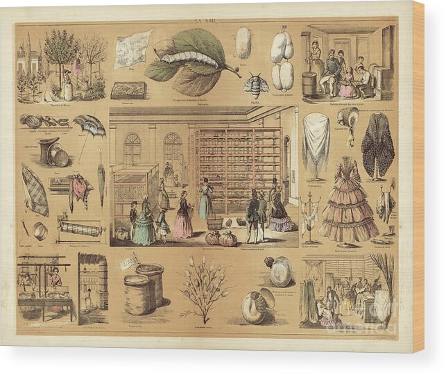 19th Century Wood Print featuring the drawing Silk by French School