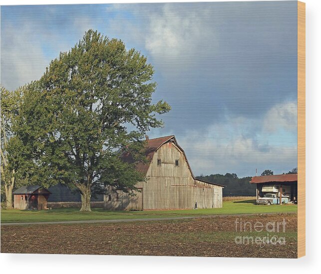 Barn Wood Print featuring the photograph Southern Indiana Barn by Steve Gass