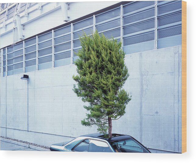 Out Of Context Wood Print featuring the photograph Tree Protruding Through Car Sunroof by Kelvin Murray