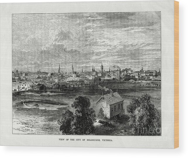 Engraving Wood Print featuring the drawing View Of The City Of Melbourne by Print Collector