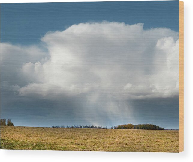 Storm Wood Print featuring the photograph Alberta prairie storm by Karen Rispin