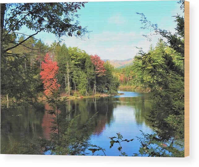 Lake Trees Sky Water Wood Print featuring the photograph Fall Reflections #1 by Elaine Franklin