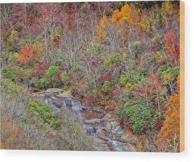Autumn Wood Print featuring the photograph Graveyard Fields Lower Falls #1 by Allen Nice-Webb
