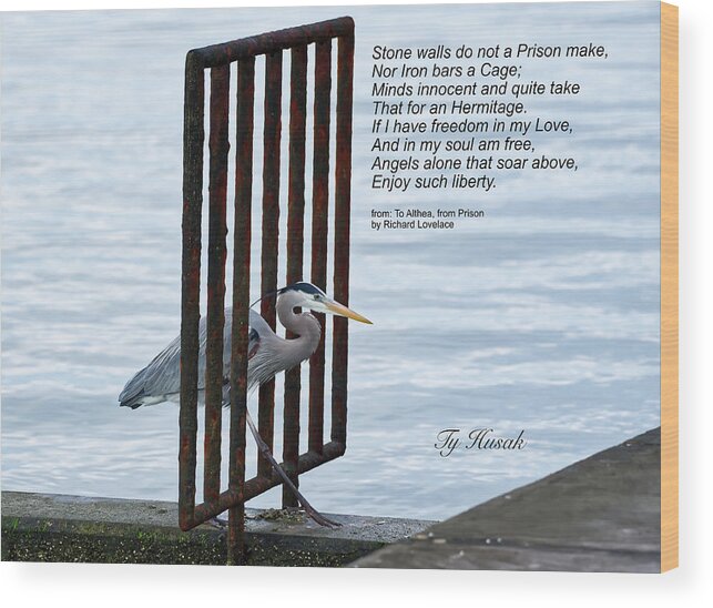 Great Blue Heron Wood Print featuring the photograph Great Blue Heron #1 by Ty Husak