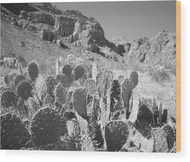 Saguaro National Park Wood Print featuring the photograph Saguaro National Park 2 #1 by Mike McGlothlen